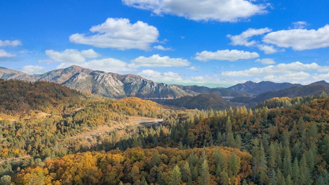 property view of mountains