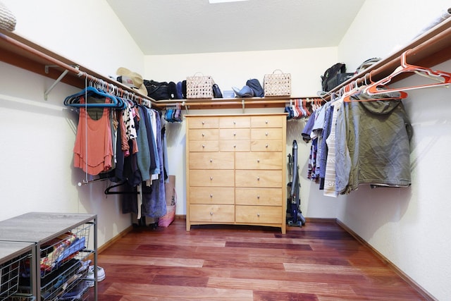 spacious closet featuring dark hardwood / wood-style flooring