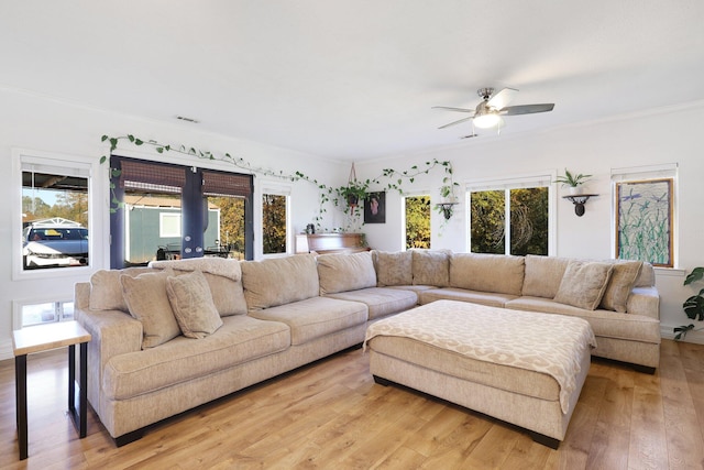 living room featuring light wood-type flooring, ceiling fan, and ornamental molding