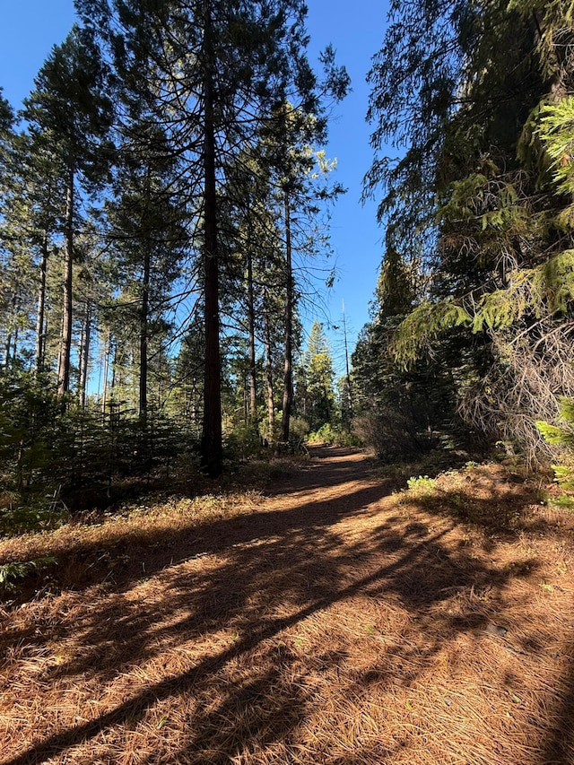 Hidden Meadows Rd, Shingletown CA, 96088 land for sale