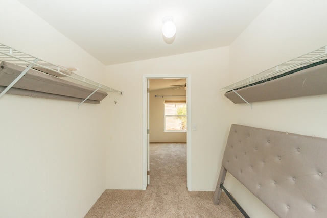 spacious closet featuring lofted ceiling and light carpet