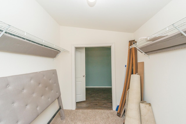 spacious closet featuring wood-type flooring