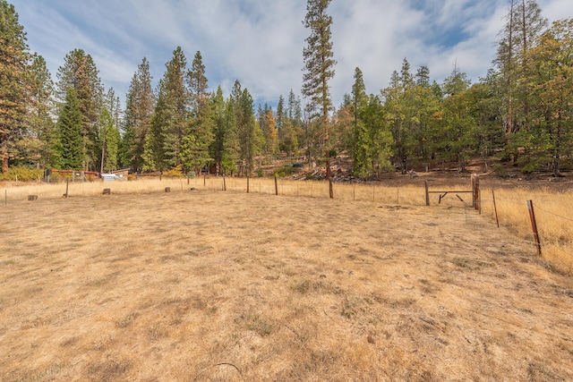 view of yard featuring a rural view