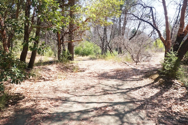 250 Bear Springs Rd, Junction City, CA 96048 - photo 1