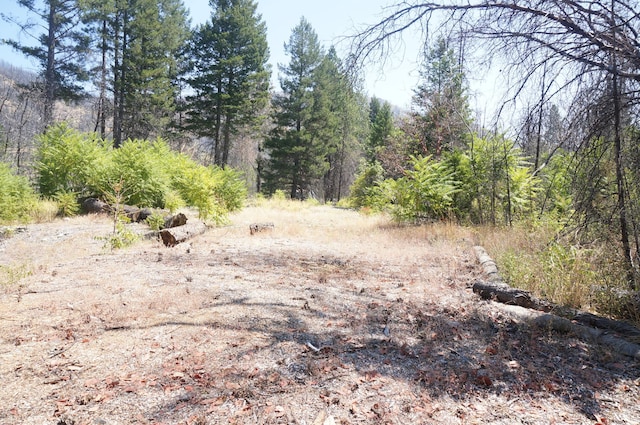 250 Bear Springs Rd, Junction City, CA 96048 - photo 3