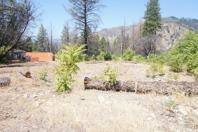 250 Bear Springs Rd, Junction City, CA 96048 - photo 6