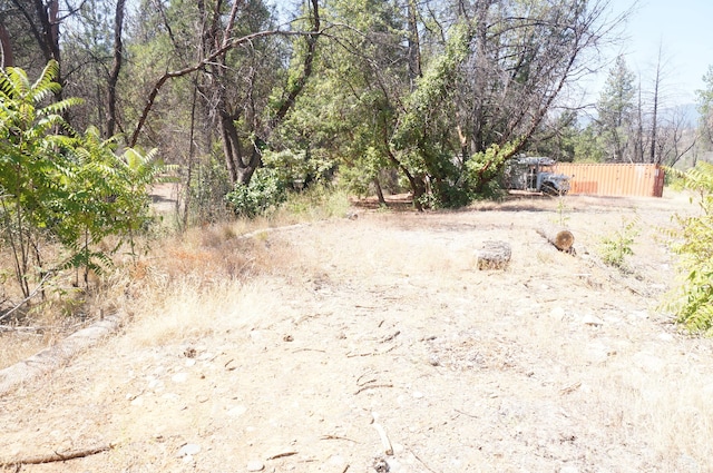 250 Bear Springs Rd, Junction City, CA 96048 - photo 7