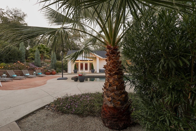 view of community featuring a patio area and a swimming pool