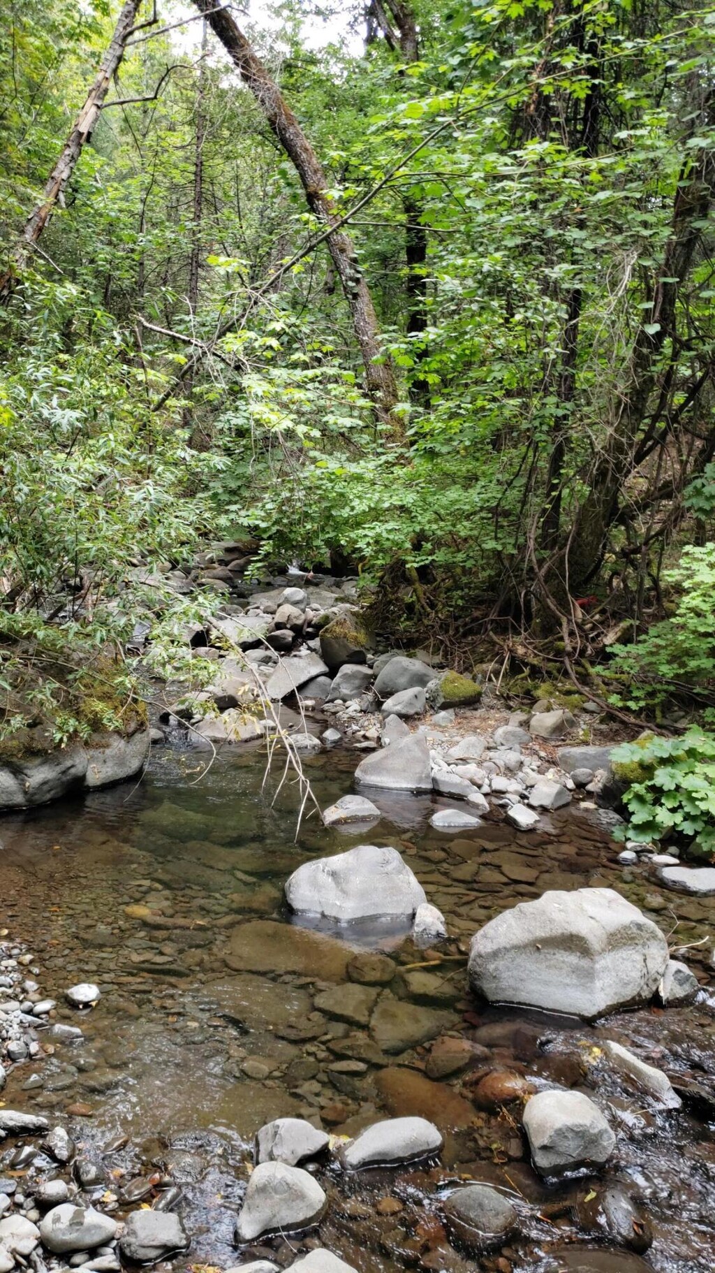 0000 Mill Creek Dr, Oak Run, CA 96069