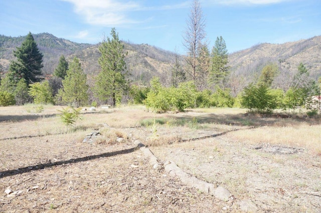 101 River Acres, Junction City, CA 96048 - photo 1