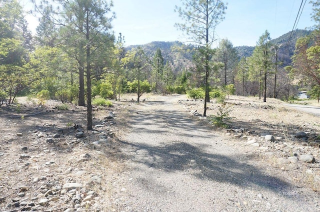101 River Acres, Junction City, CA 96048 - photo 2