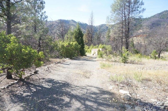 101 River Acres, Junction City, CA 96048 - photo 3