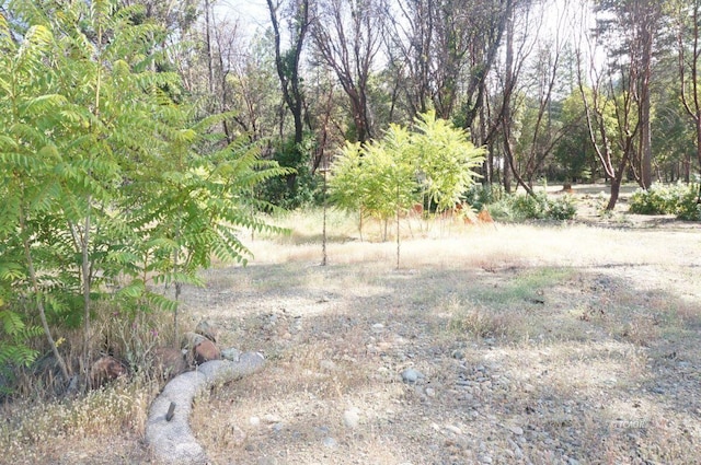 101 River Acres, Junction City, CA 96048 - photo 5
