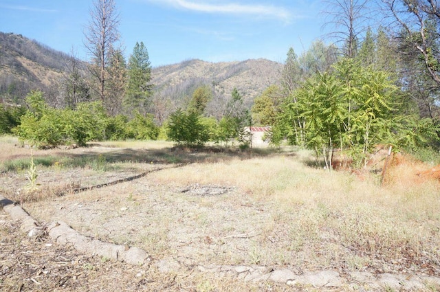 101 River Acres, Junction City, CA 96048 - photo 6