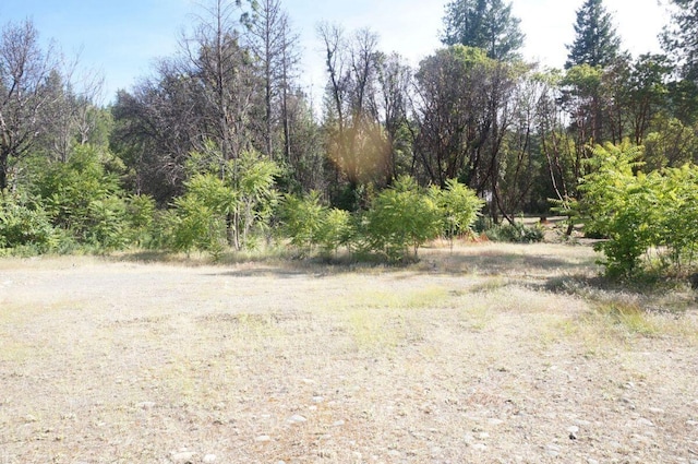 101 River Acres, Junction City, CA 96048 - photo 8