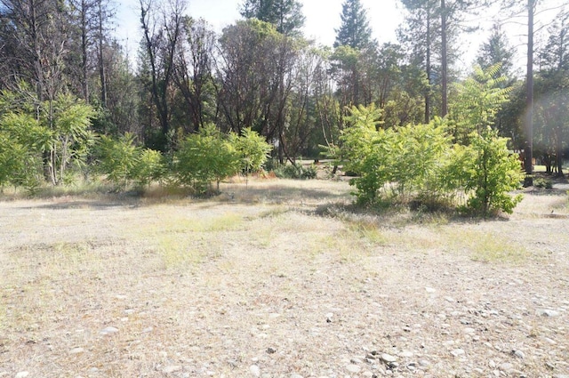 101 River Acres, Junction City, CA 96048 - photo 9