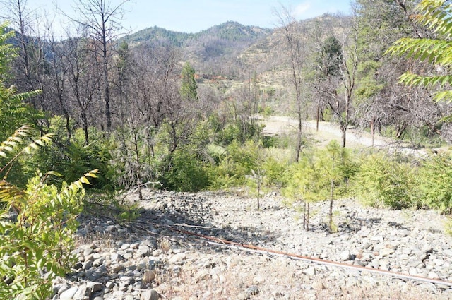 101 River Acres, Junction City, CA 96048 - photo 13