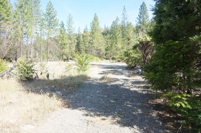 101 River Acres, Junction City, CA 96048 - photo 15