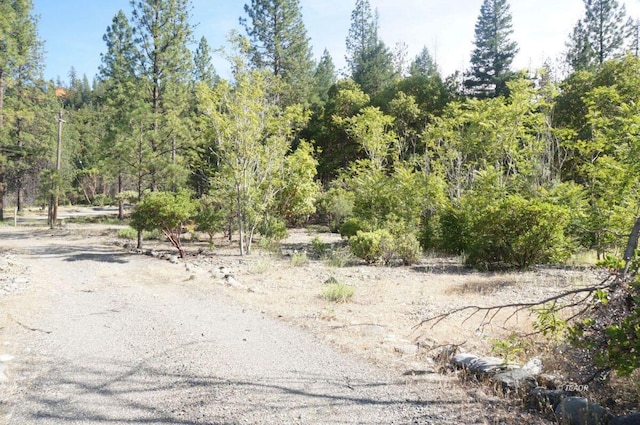 101 River Acres, Junction City, CA 96048 - photo 16