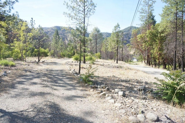 101 River Acres, Junction City, CA 96048 - photo 18