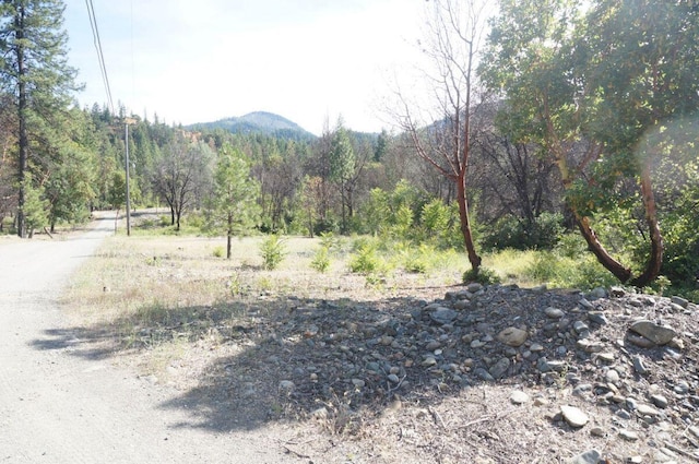 101 River Acres, Junction City, CA 96048 - photo 20
