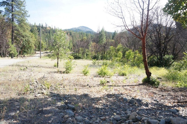 101 River Acres, Junction City, CA 96048 - photo 21