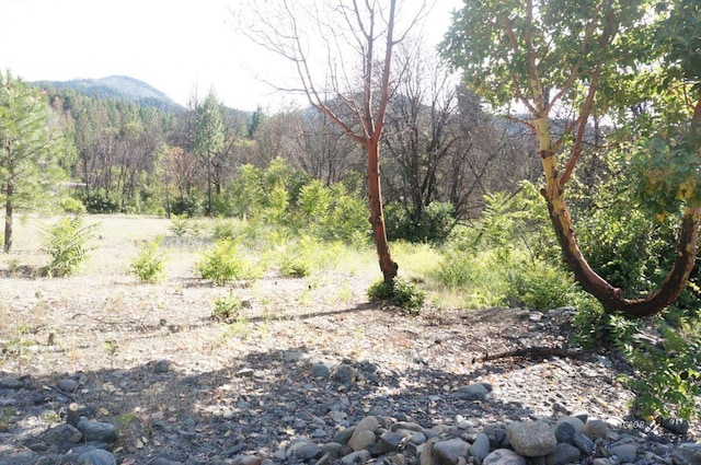 101 River Acres, Junction City, CA 96048 - photo 22