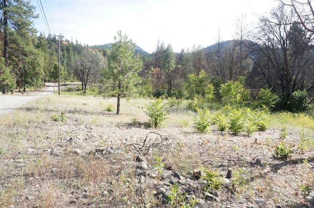 101 River Acres, Junction City, CA 96048 - photo 24