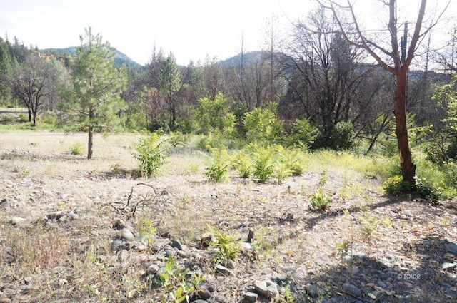 101 River Acres, Junction City, CA 96048 - photo 25