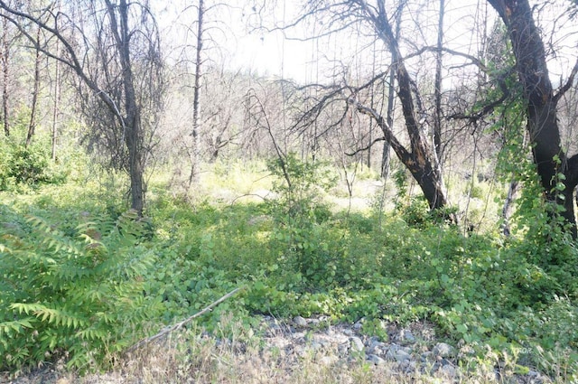 101 River Acres, Junction City, CA 96048 - photo 27