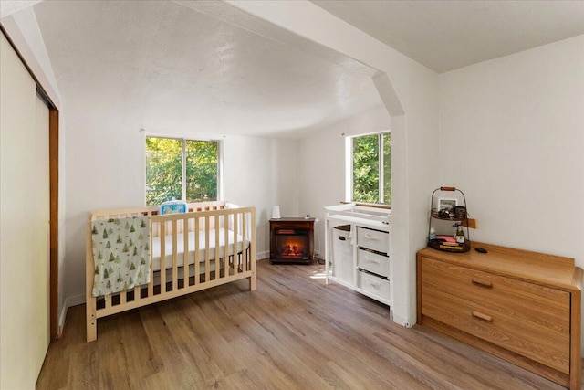 bedroom with a closet, multiple windows, wood-type flooring, and lofted ceiling