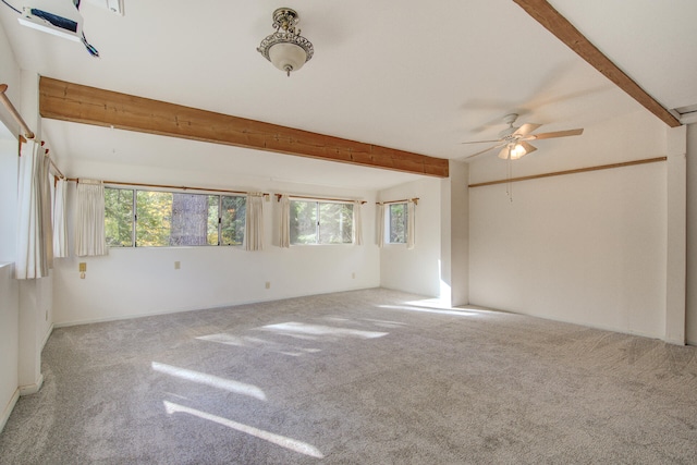 carpeted spare room with ceiling fan, beamed ceiling, and a healthy amount of sunlight