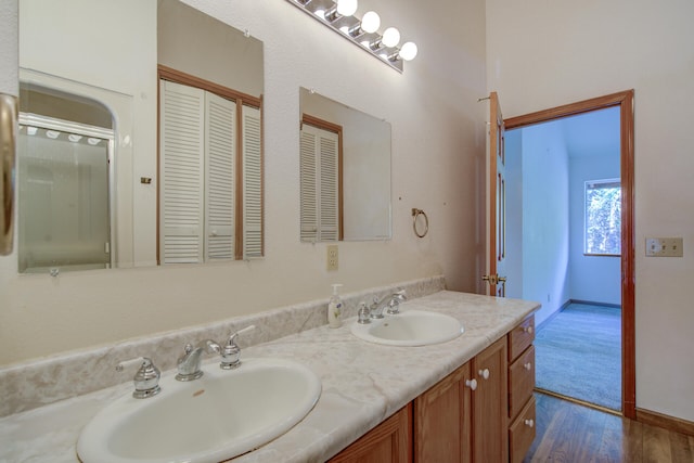 bathroom with hardwood / wood-style flooring and vanity