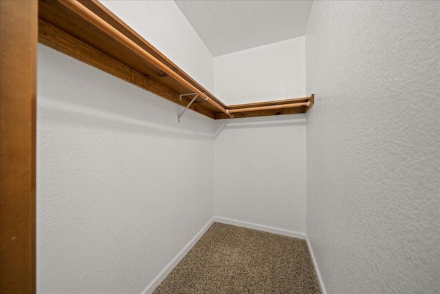 walk in closet with carpet