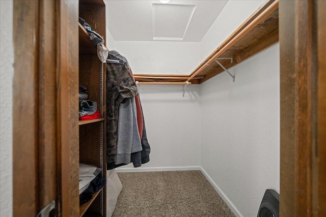 walk in closet featuring carpet