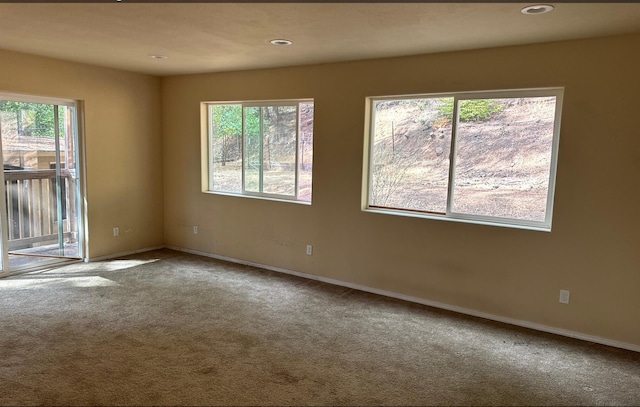 carpeted spare room featuring a wealth of natural light