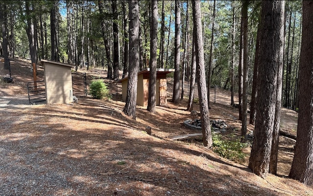 view of yard featuring a storage shed