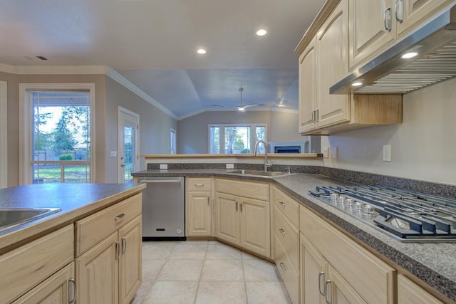 kitchen featuring a healthy amount of sunlight, sink, lofted ceiling, and stainless steel appliances