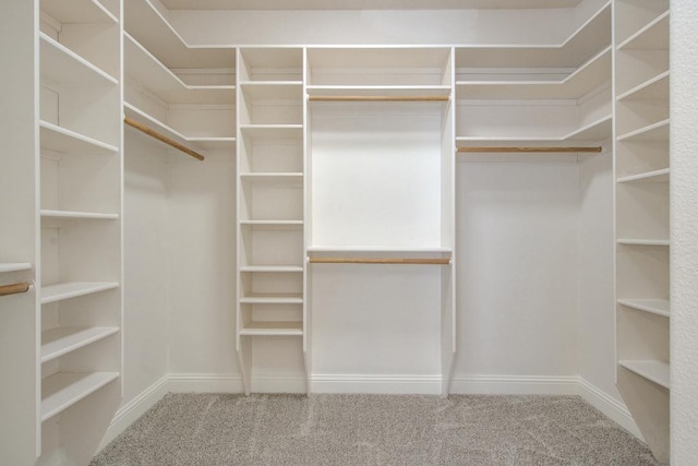 walk in closet with carpet floors