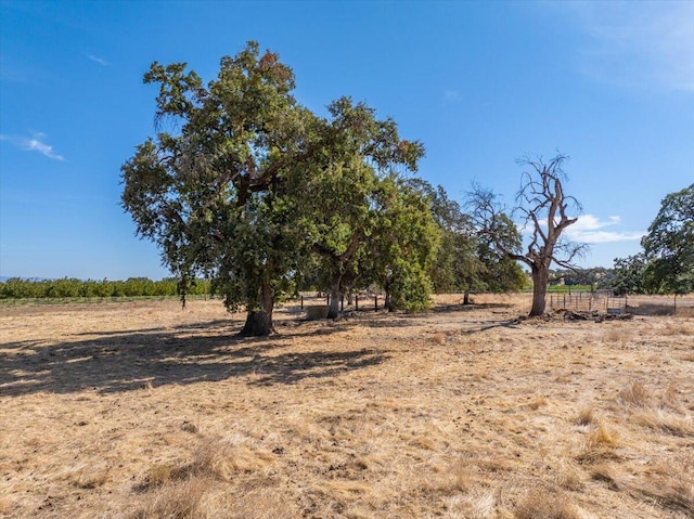 view of local wilderness with a rural view