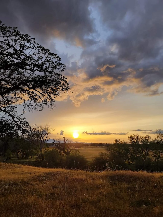 view of nature at dusk