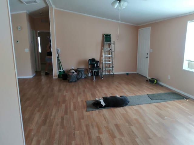 exercise room featuring ceiling fan, crown molding, and wood-type flooring