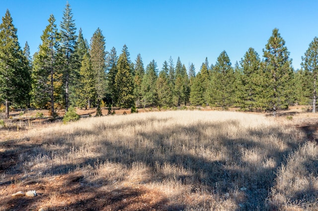 Listing photo 3 for LOT35 Princess Pine Pl, Shingletown CA 96088