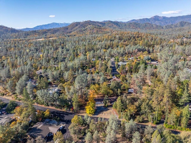 drone / aerial view featuring a mountain view