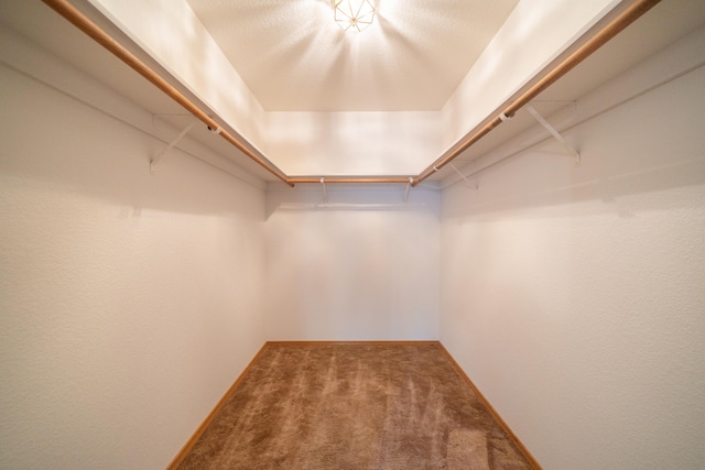 spacious closet with carpet flooring