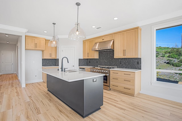 kitchen featuring backsplash, a kitchen island with sink, sink, high end stainless steel range oven, and light brown cabinetry