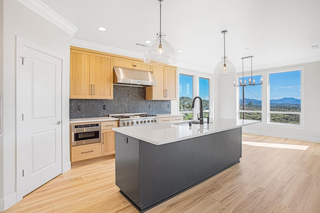 kitchen with plenty of natural light, a kitchen island with sink, and light brown cabinetry