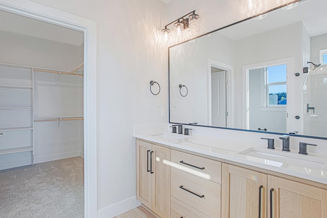 bathroom with vanity and walk in shower