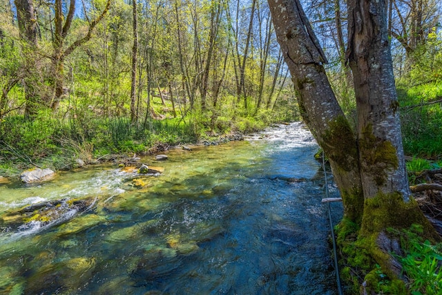 view of nature