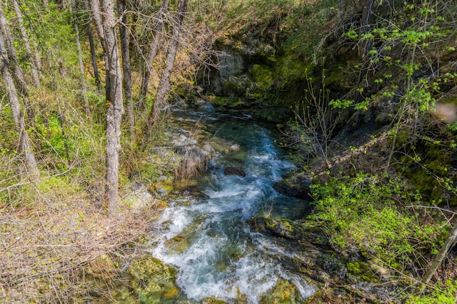 view of local wilderness